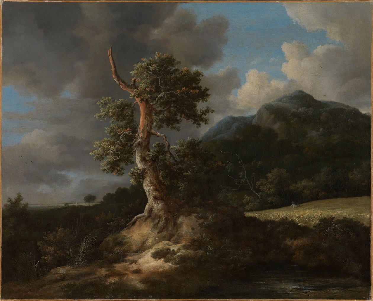 Górski krajobraz z wysadzoną dębową drzewem autorstwa Jacob van Ruisdael