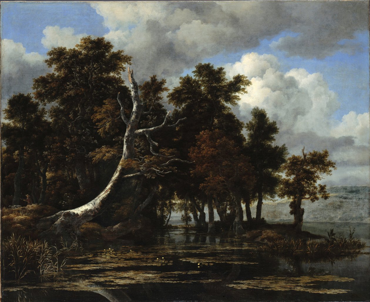Dęby nad jeziorem z liliami wodnymi autorstwa Jacob van Ruisdael