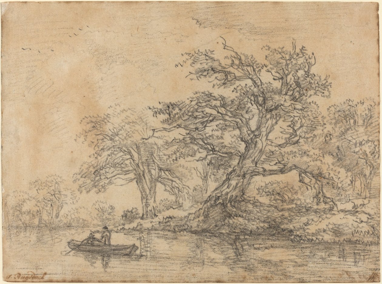 Stare drzewa wzdłuż brzegu autorstwa Jacob van Ruisdael