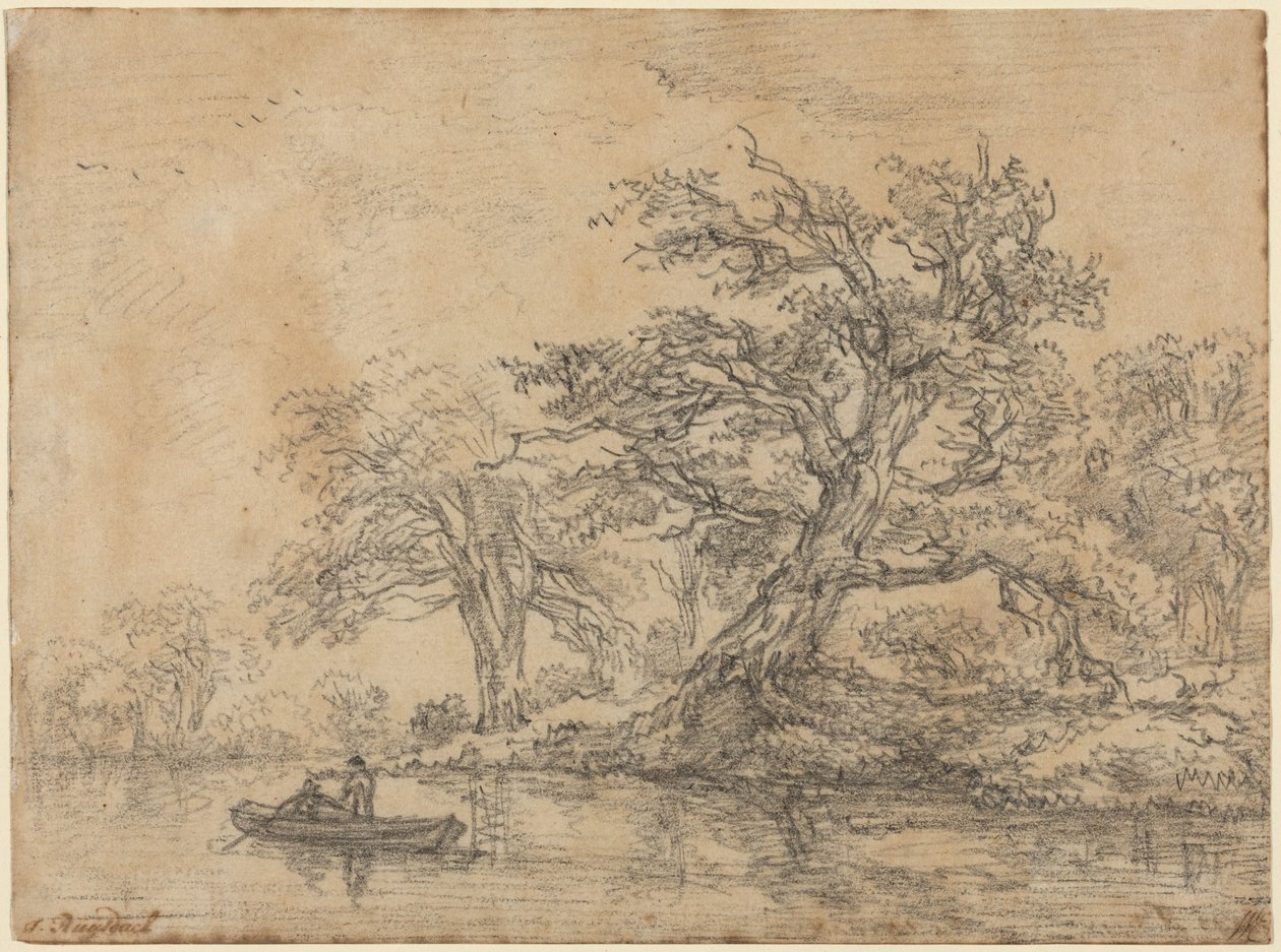 Stare drzewa wzdłuż brzegu autorstwa Jacob van Ruisdael