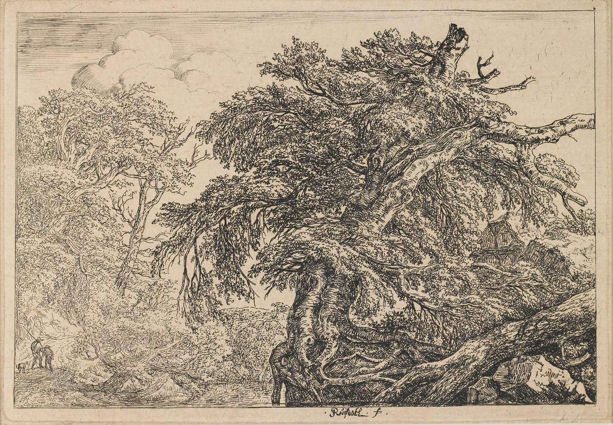 Wielki buk z dwoma mężczyznami i psem autorstwa Jacob van Ruisdael
