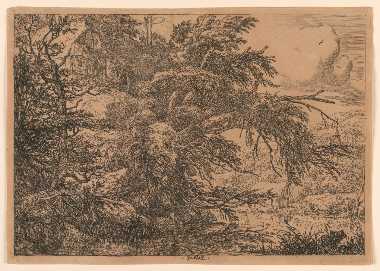 Domek kryty strzechą na wzgórzu autorstwa Jacob van Ruisdael