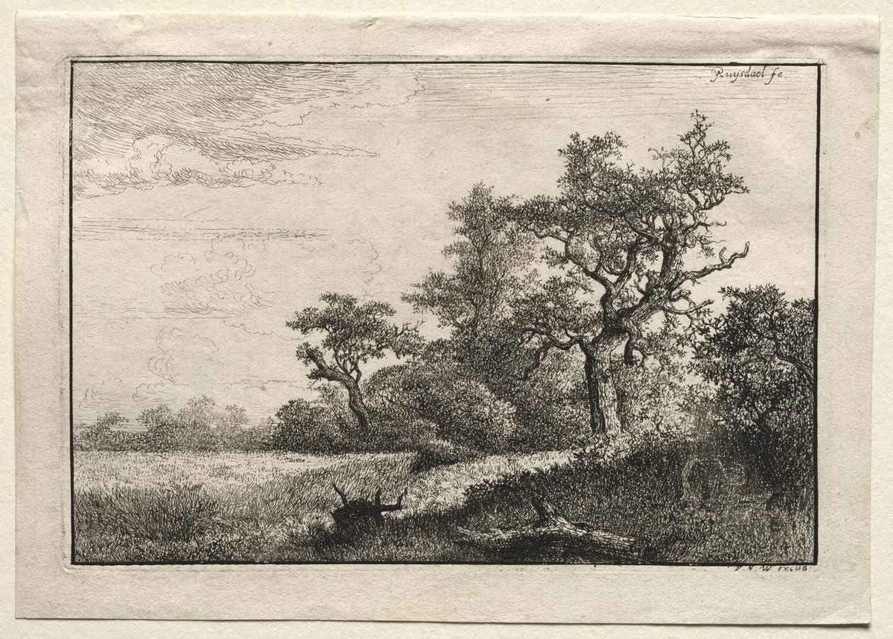Pole pszenicy autorstwa Jacob van Ruisdael