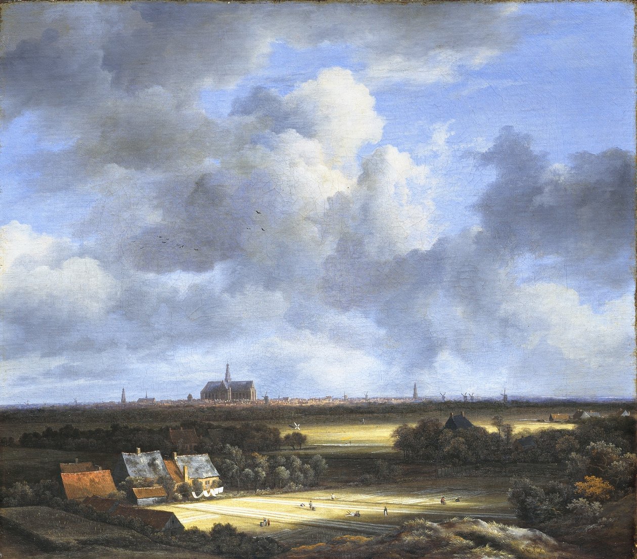 Widok na pola bielarskie i Haarlem autorstwa Jacob van Ruisdael