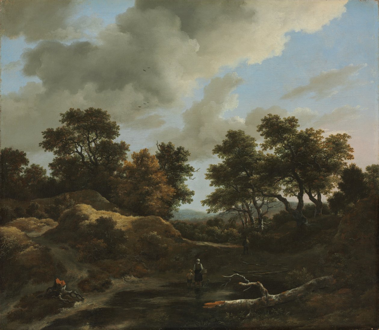 Krajobraz zalesiony i pagórkowaty, lata 60. XVI wieku. autorstwa Jacob van Ruisdael