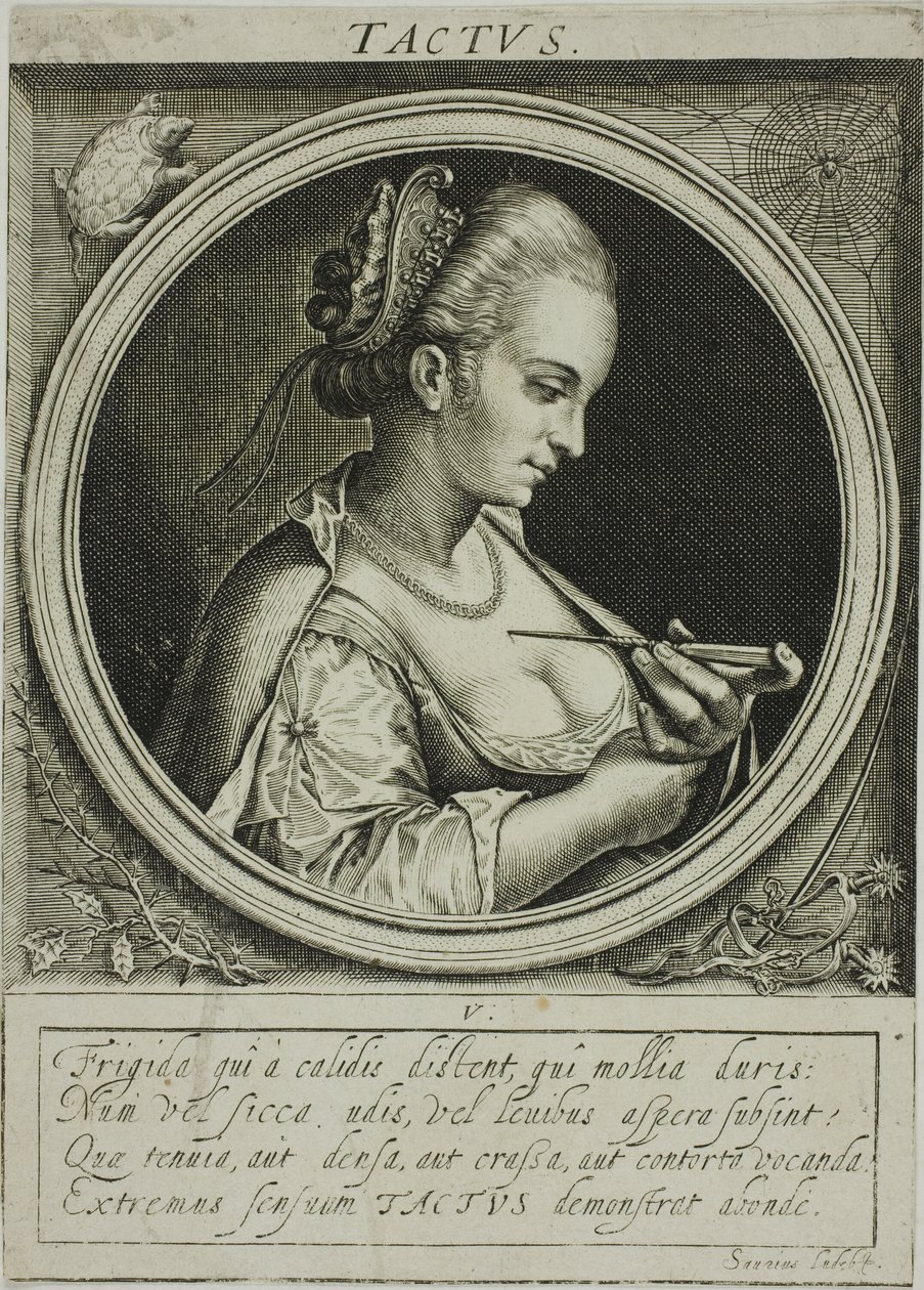 Uczucie, płytka piąta z Pięciu zmysłów autorstwa Jacob van der Heyden