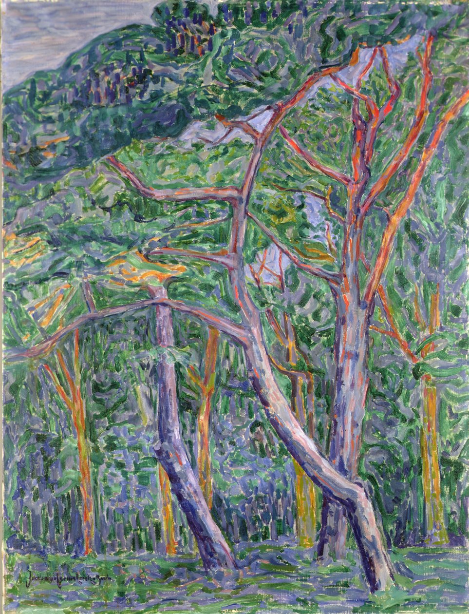 Sosny autorstwa Jacoba van Heemskerck