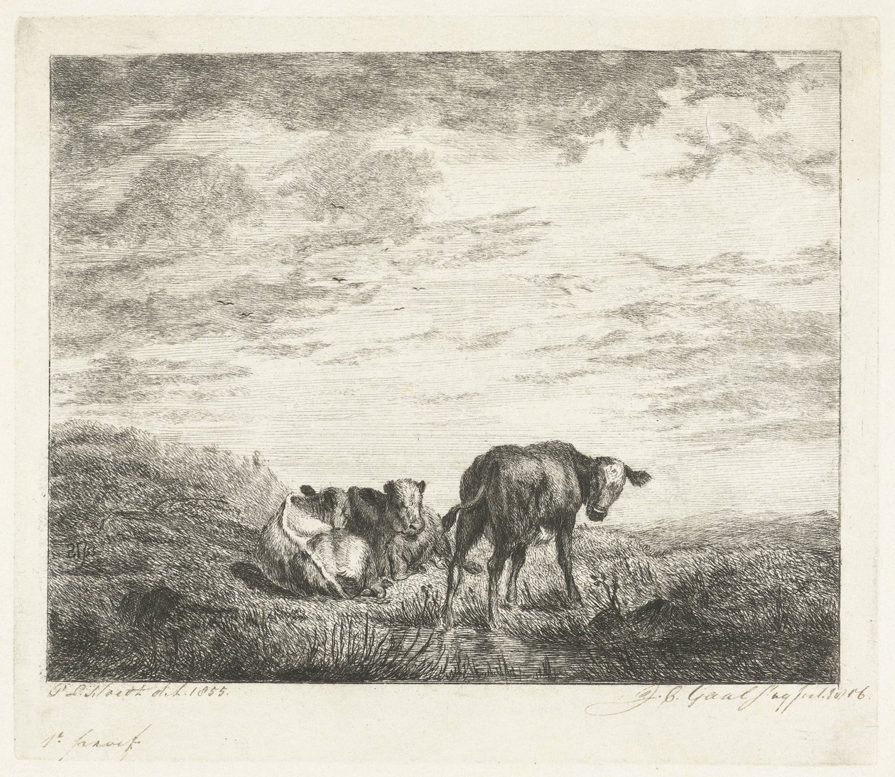Trzy cielęta autorstwa Jacobus Cornelis Gaal (signed by artist)