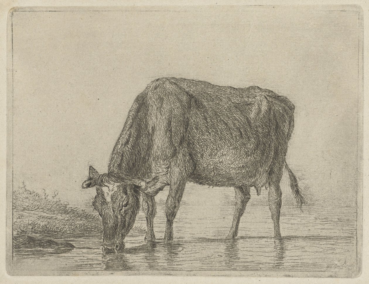 pijąca krowa autorstwa Jacobus Cornelis Gaal