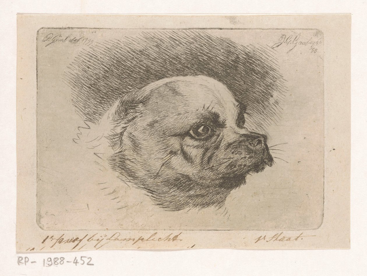 Głowa mopsa autorstwa Jacobus Cornelis Gaal