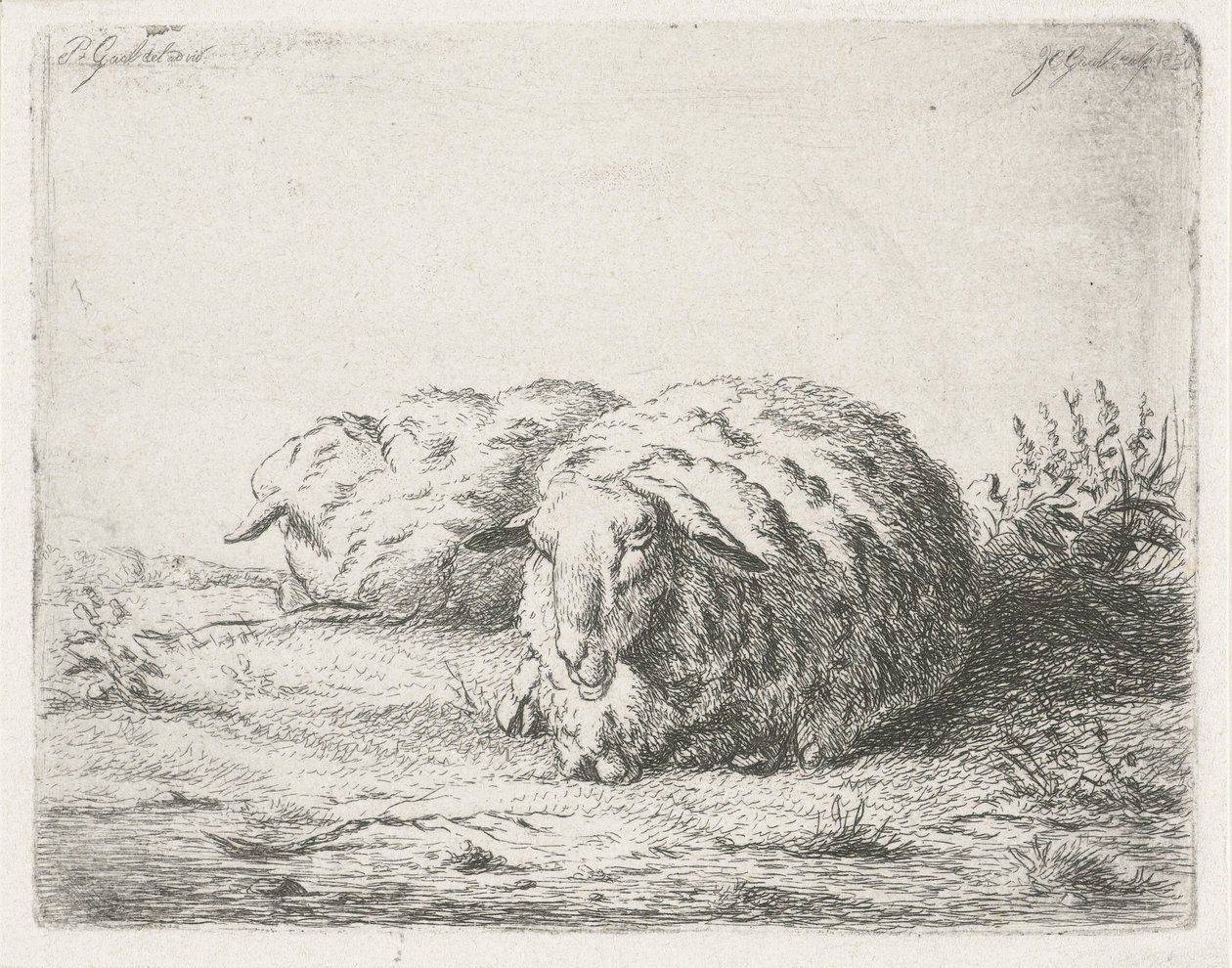 Dwie leżące owce autorstwa Jacobus Cornelis Gaal