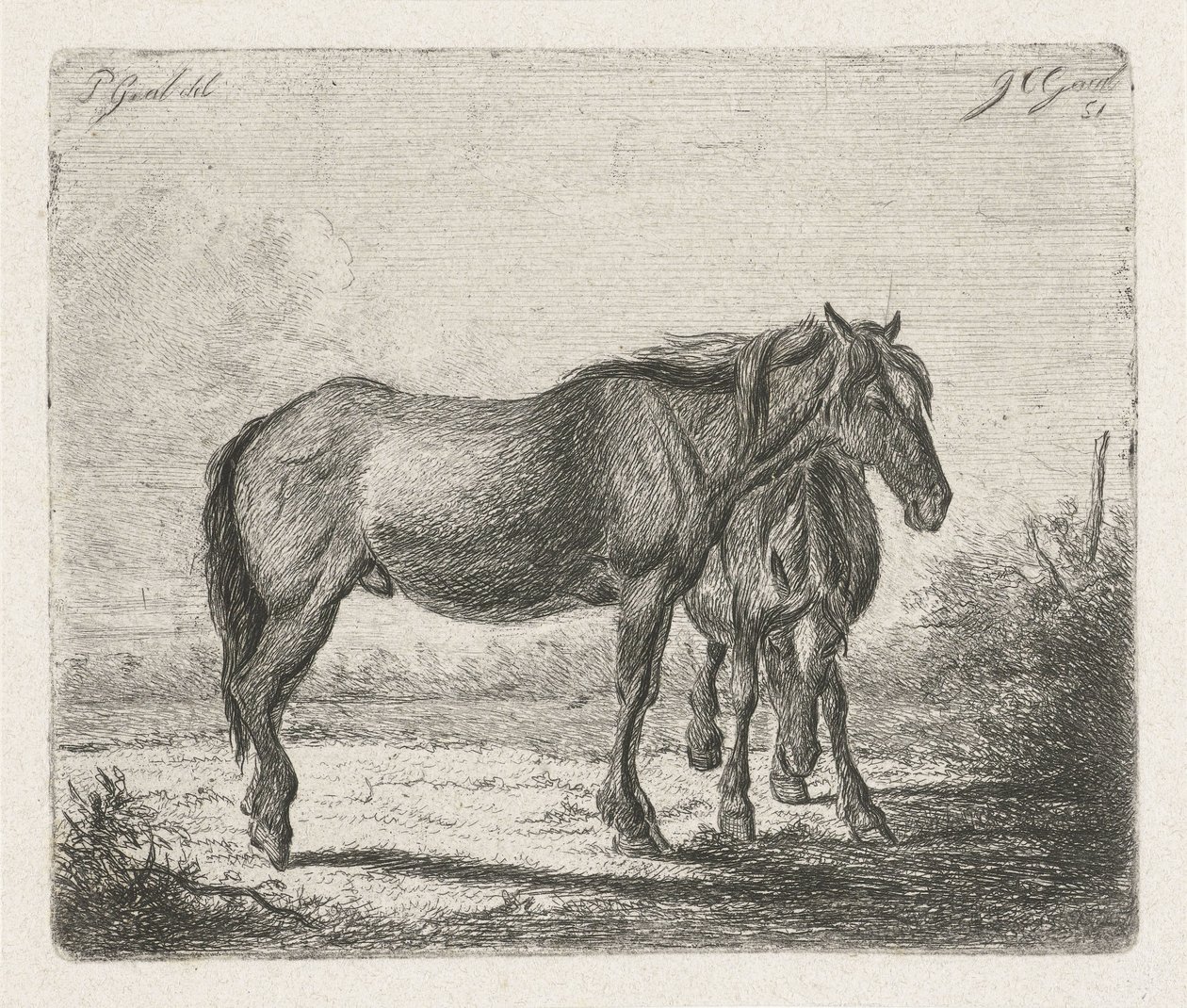Dwa konie autorstwa Jacobus Cornelis Gaal