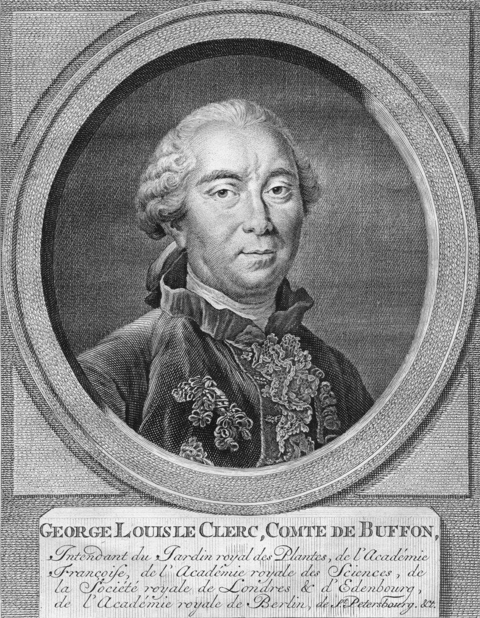 George Louis Leclerc, hrabia De Buffon, 1774. autorstwa Jacobus Houbraken