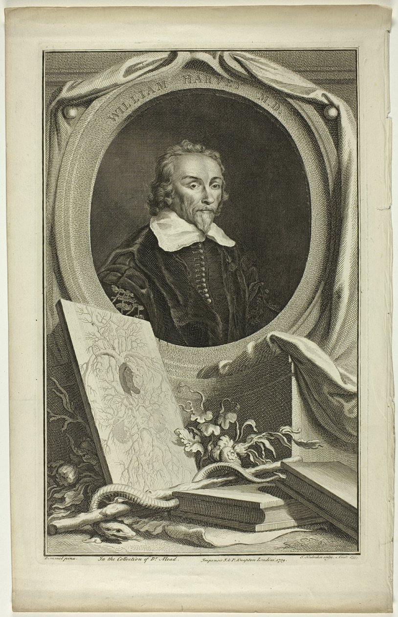 William Harvey, MD autorstwa Jacobus Houbraken