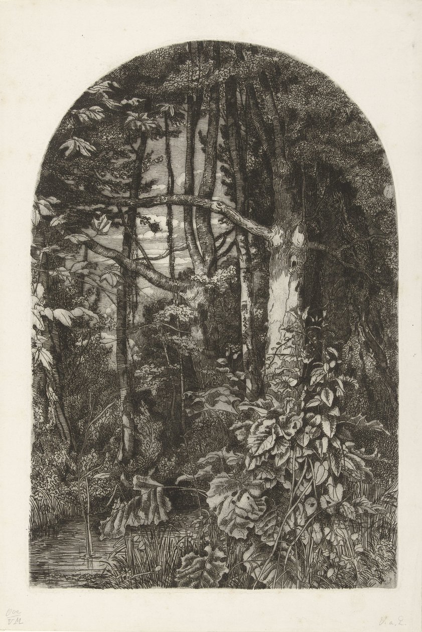 Las ze strumieniem autorstwa Jacobus Ludovicus Cornet