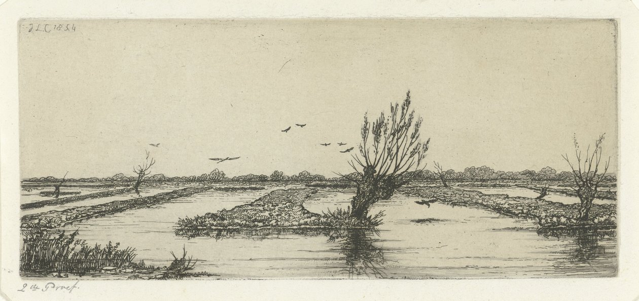 torfowisko autorstwa Jacobus Ludovicus Cornet