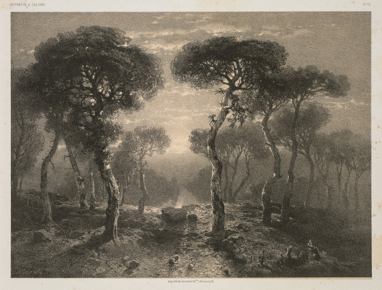 Prace A. Calame, nr 13: Las Sierre w Valais autorstwa Jacomme and Cie. R. de Lancry, 12, Paris
