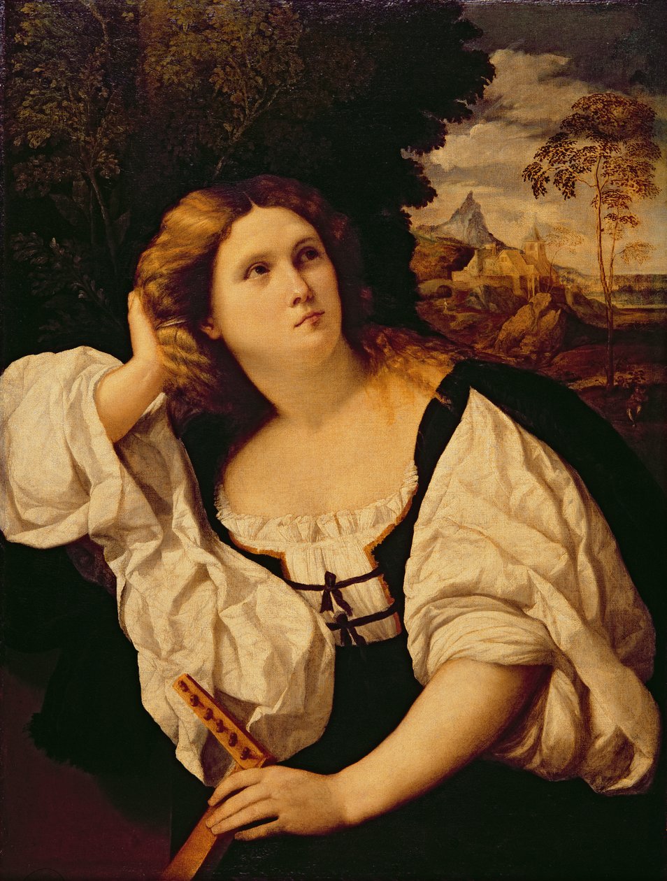 Dama z lutnią, ok.1520-25 autorstwa Jacopo Palma