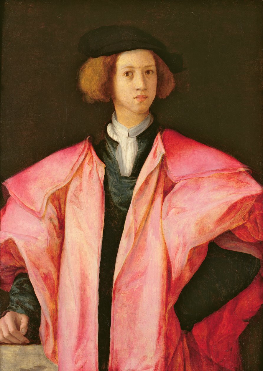 Portret młodego człowieka autorstwa Jacopo Pontormo