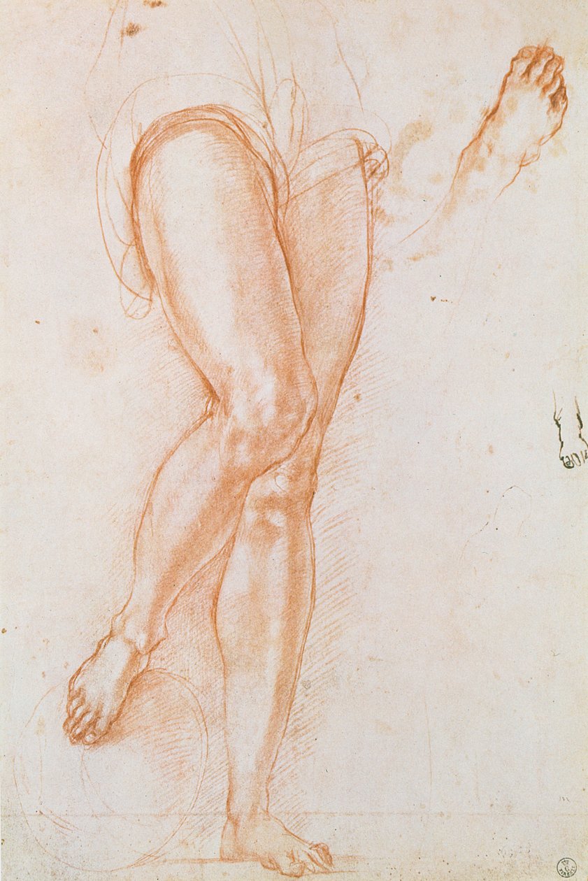 Studium pary nóg i dwóch stóp do postaci św. Michała (czerwona kreda z piórem i atramentem) autorstwa Jacopo Pontormo