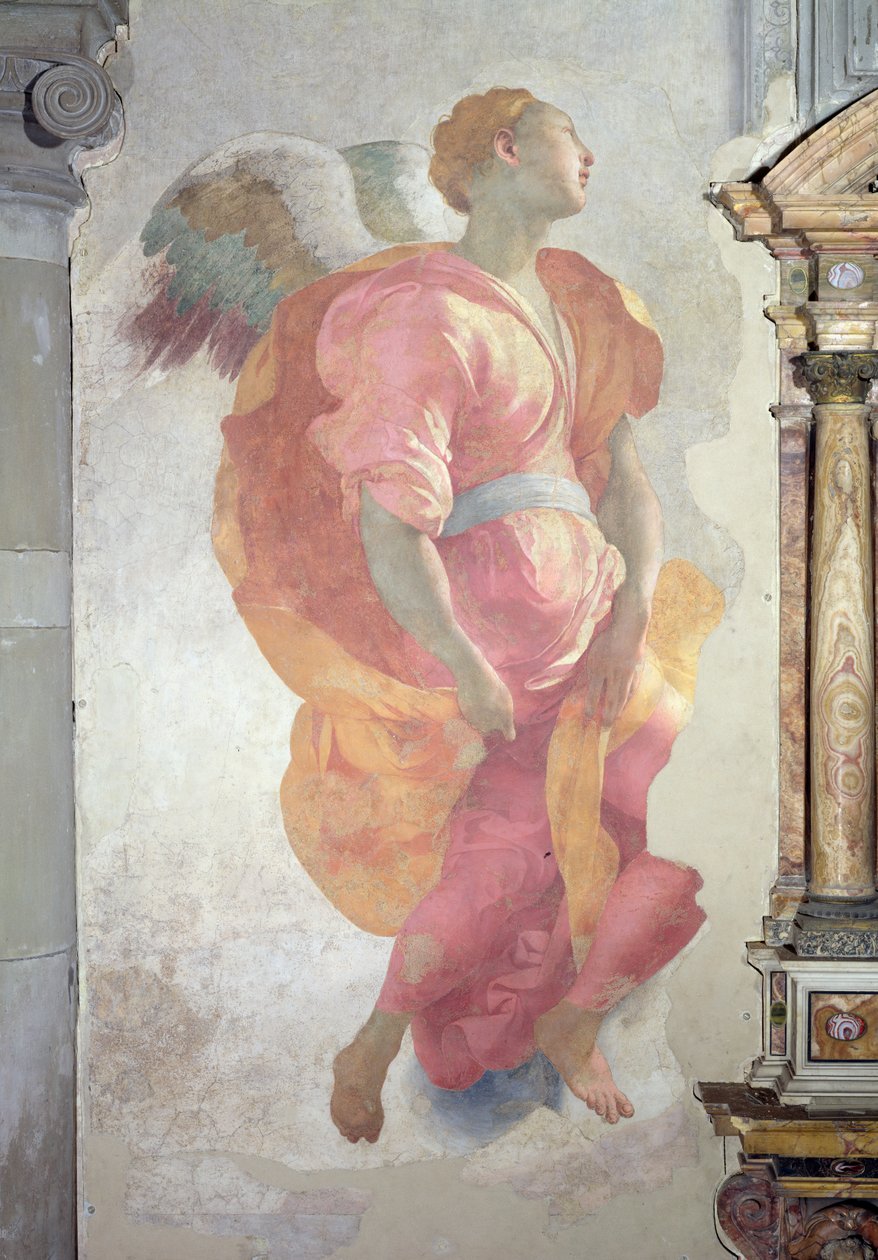 Nawiedzenie, fragment anioła na lewo od ołtarza, fresk 1528-30 autorstwa Jacopo Pontormo