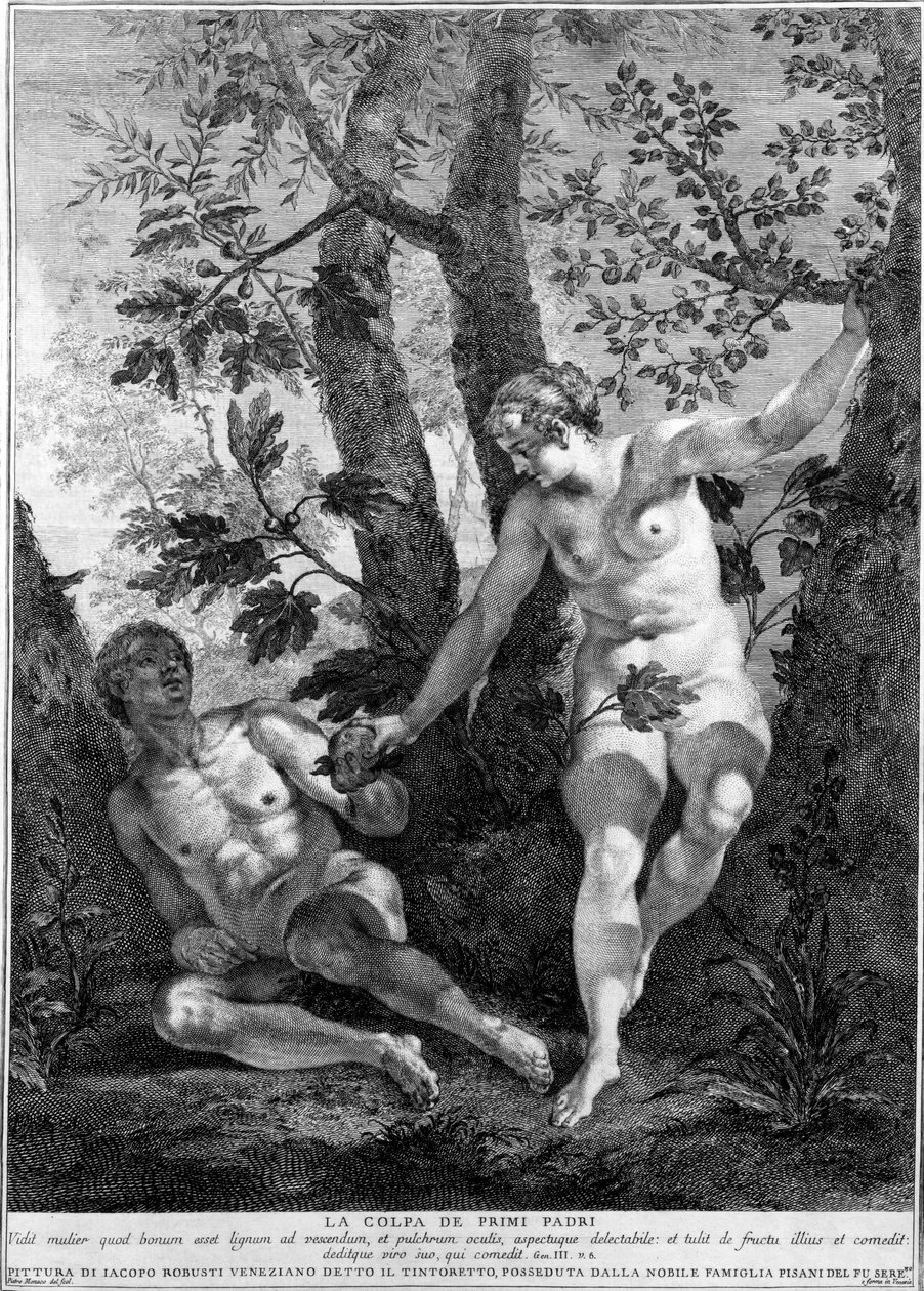 Adam i Ewa, grawerowane przez Pietro Monaco, c.1741-52 autorstwa Jacopo Robusti Tintoretto