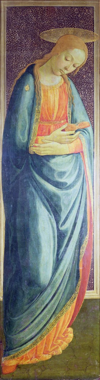 Matka Boska, 1473 (prawe skrzydło dyptyku Zwiastowanie) (płyta) autorstwa Jacopo del Sellaio