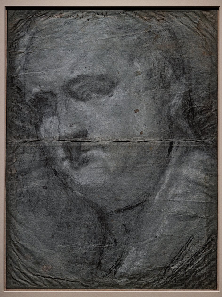 Portret Vitellio Grimaniego autorstwa Jacopo (1510 92) Bassano