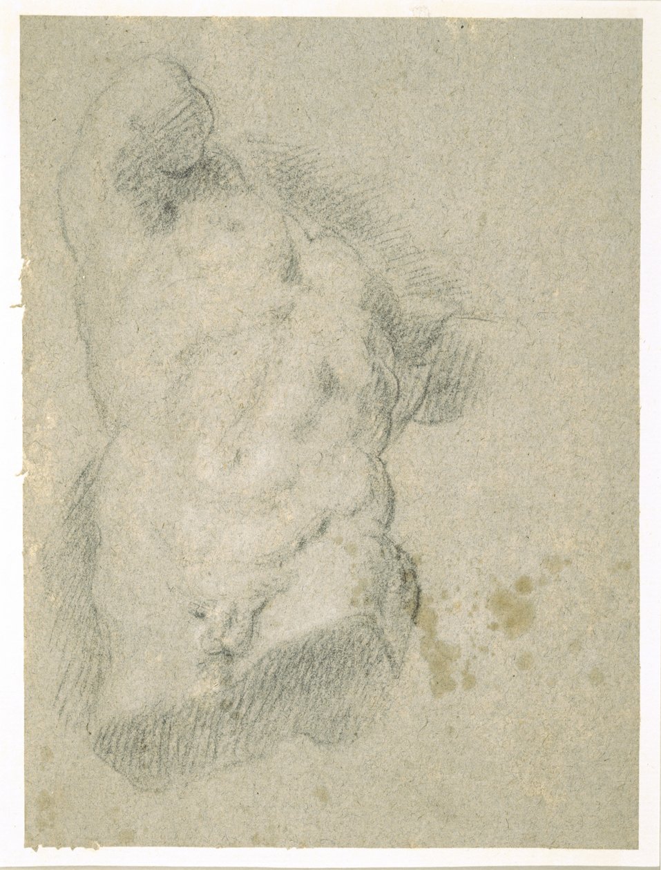 Rysunek męskiego torsu (węgiel na niebieskim papierze) autorstwa Jacopo Bassano