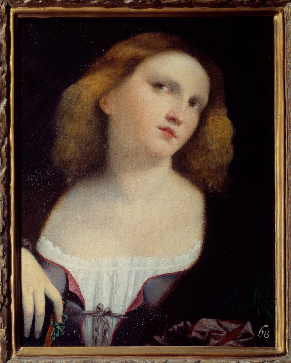 Portret kobiety Obraz na drewnie transponowany na płótno Jacopo Palma il Vecchio (1480-1528) 1513 wym. 0,48 x 0,38 m Lyon, Muzeum Sztuk Pięknych autorstwa Jacopo (c.1480 1528) Palma