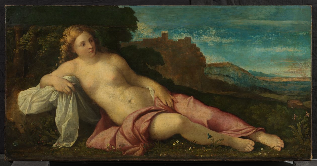 Wenus w krajobrazie, ok. 1520 (olej na płótnie) autorstwa Jacopo (c.1480 1528) Palma