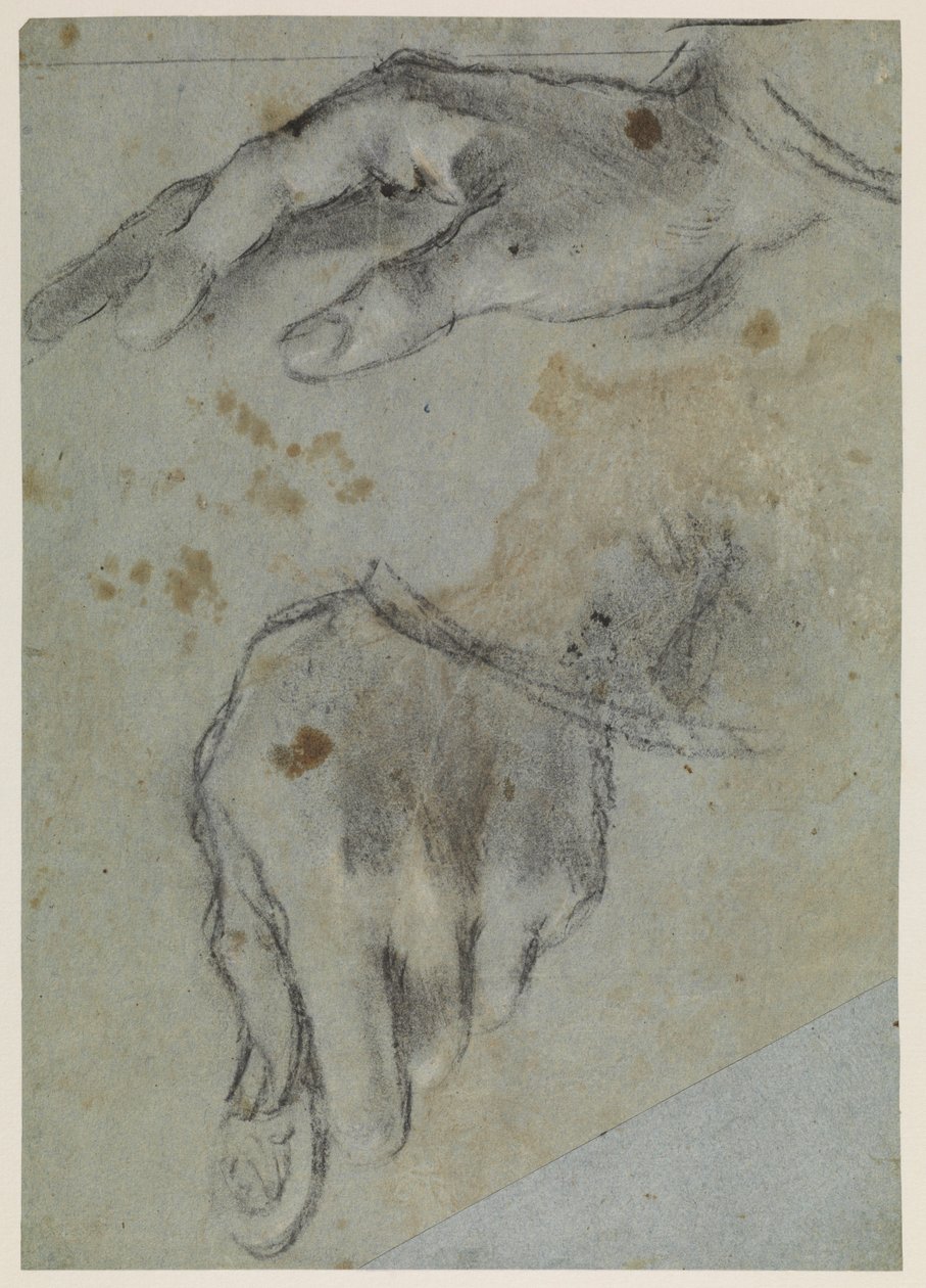 Studia rąk, recto, XVI w. autorstwa Jacopo Bassano