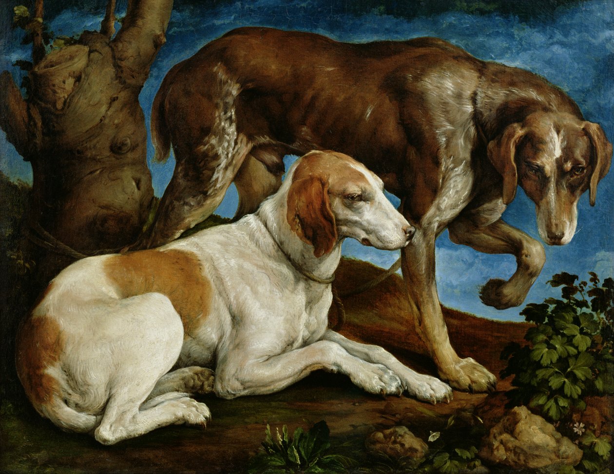 Dwa psy myśliwskie przywiązane do pnia drzewa, ok. 1548-50 autorstwa Jacopo Bassano