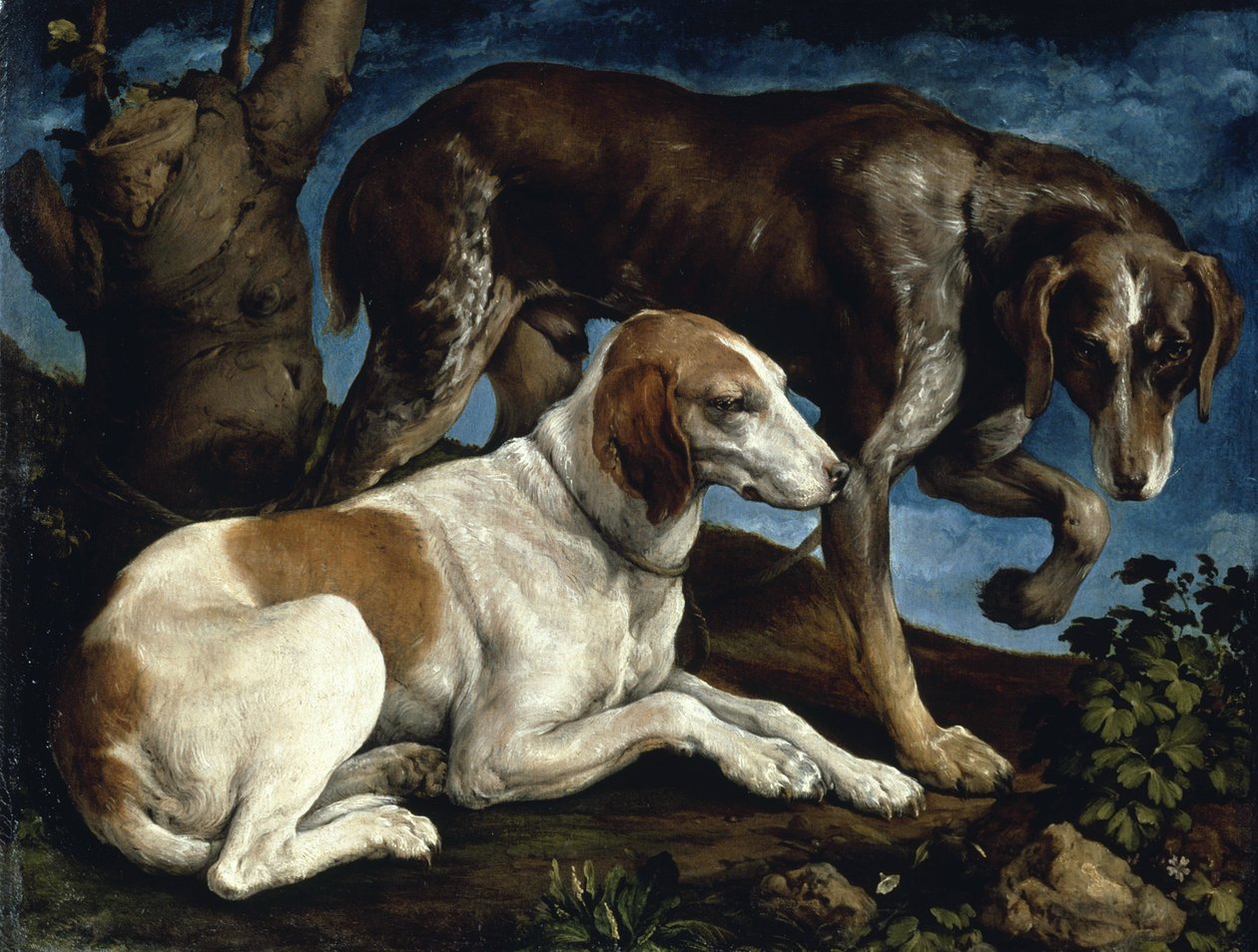 Dwa psy myśliwskie, 1548-1549. autorstwa Jacopo Bassano il vecchio