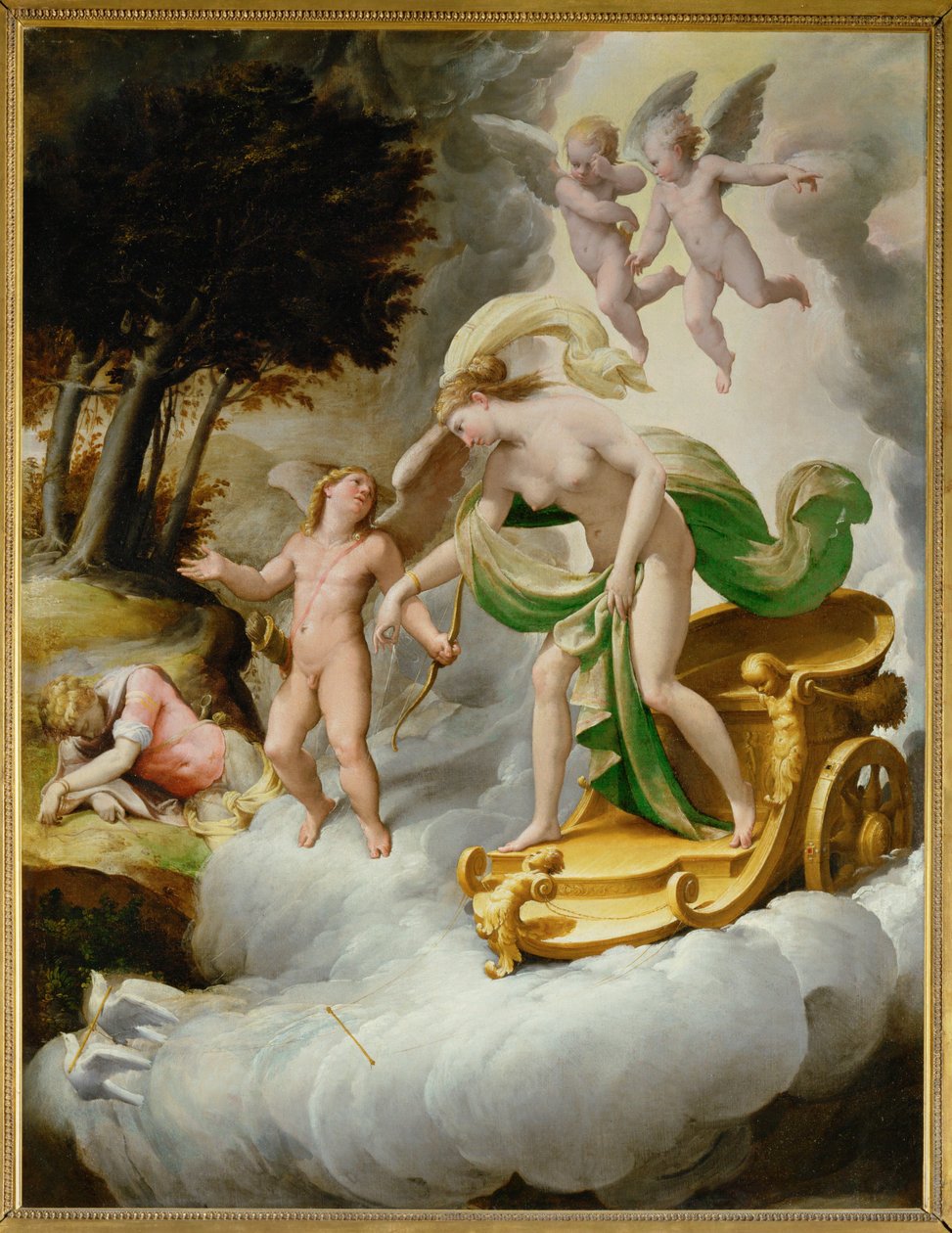 Wenus prowadzona przez Amora do martwego Adonisa ... autorstwa Jacopo Ianguidi (1544 c.1573) Bertoia