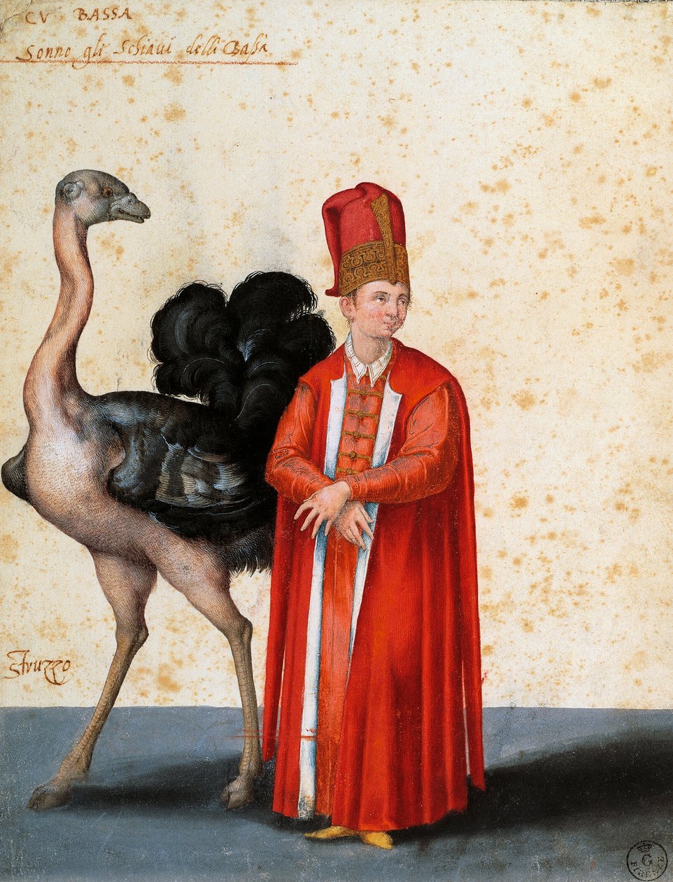 Niewolnik ze strusiem, rys. Jacopo Ligozzi (1547-1627) autorstwa Jacopo Ligozzi