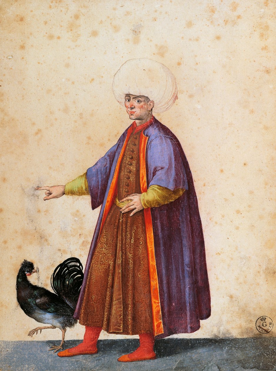 Turek w turbanie, rysunek Jacopo Ligozzi (1547-1627) autorstwa Jacopo Ligozzi