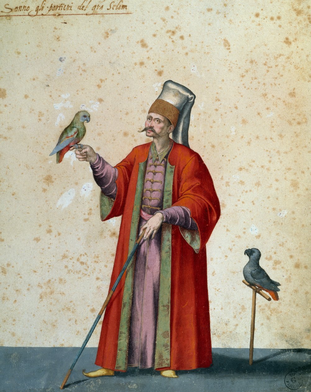 Woźny do wielkiego selim z papugami, rysunek Jacopo Ligozzi (1547-1627) autorstwa Jacopo Ligozzi