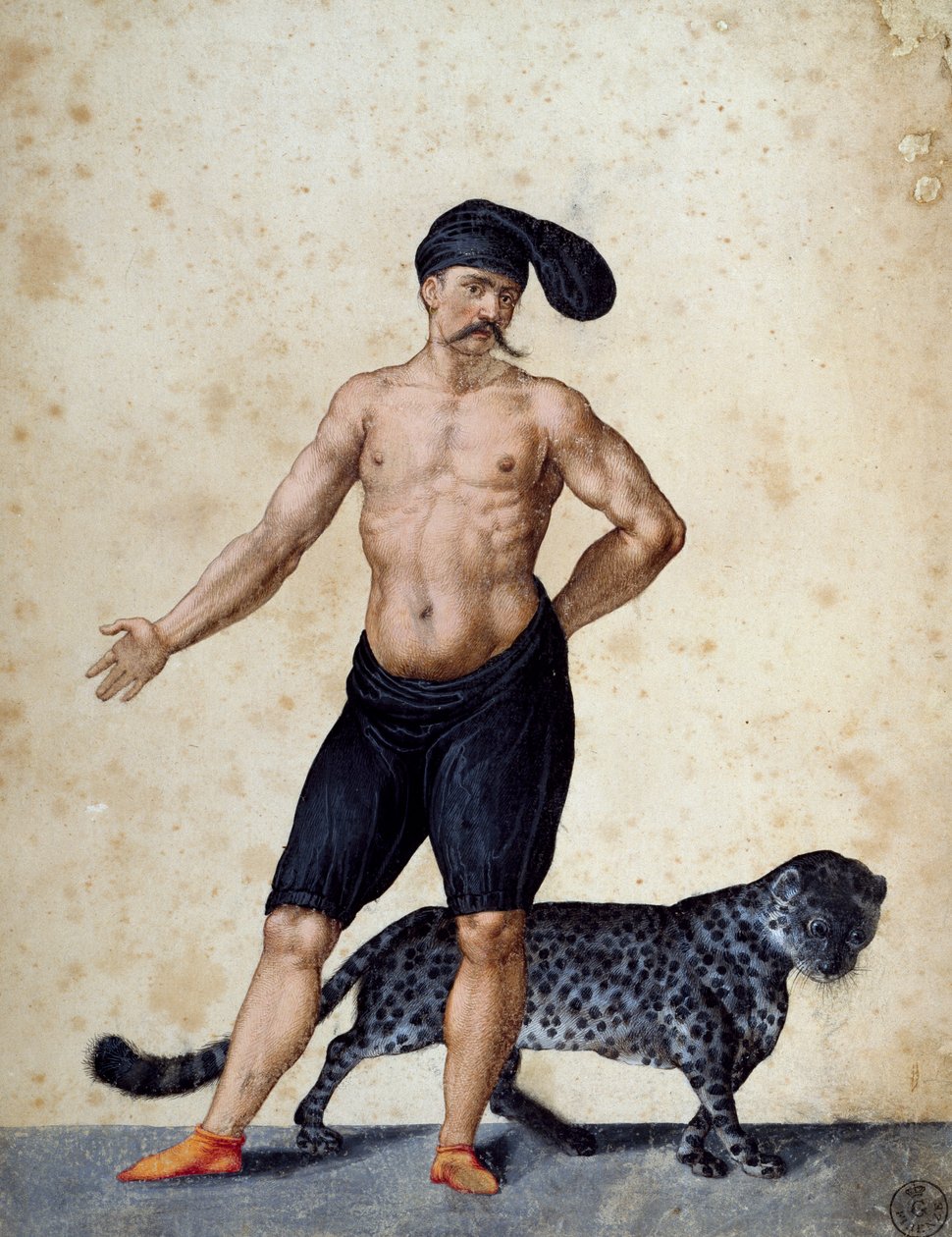 Młody Afrykanin stojący z przodu, na wpół ubrany, z długą berrettą (czapką) na głowie, z tygrysem za nim, rys. Jacopo Ligozzi (1547-1627) autorstwa Jacopo Ligozzi