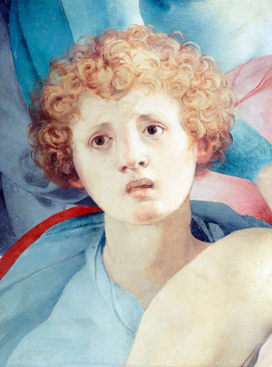 Twarz młodego mężczyzny, fragment Depozycji, Jacopo da Pontormo (1494-1557) autorstwa Jacopo Pontormo