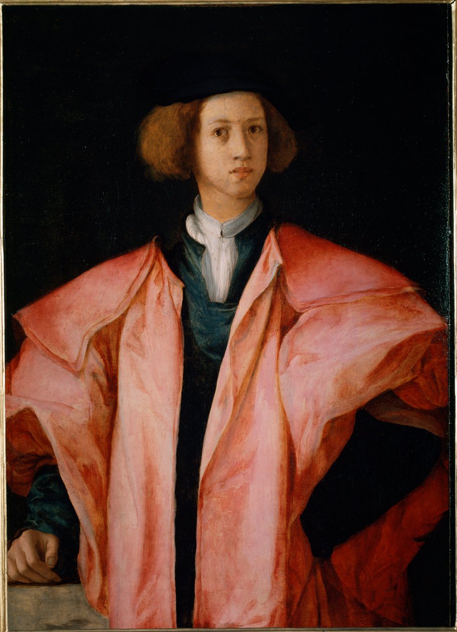 Portret młodego mężczyzny prawdopodobnie Alessandro de Medicis - olej na panelu autorstwa Jacopo Pontormo
