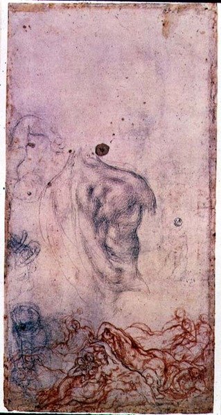 Studium do portretu Kosmy I Giovinetto z innymi studiami wijących się ciał (czarna i czerwona kreda na papierze) autorstwa Jacopo Pontormo