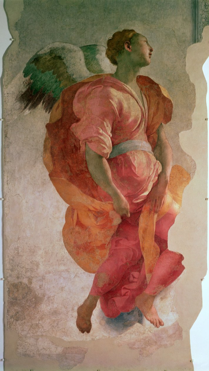 Zwiastowanie, detal przedstawiający anioła, ok. 1527 r., detal fresku 57520, zob. też 94965 autorstwa Jacopo Pontormo