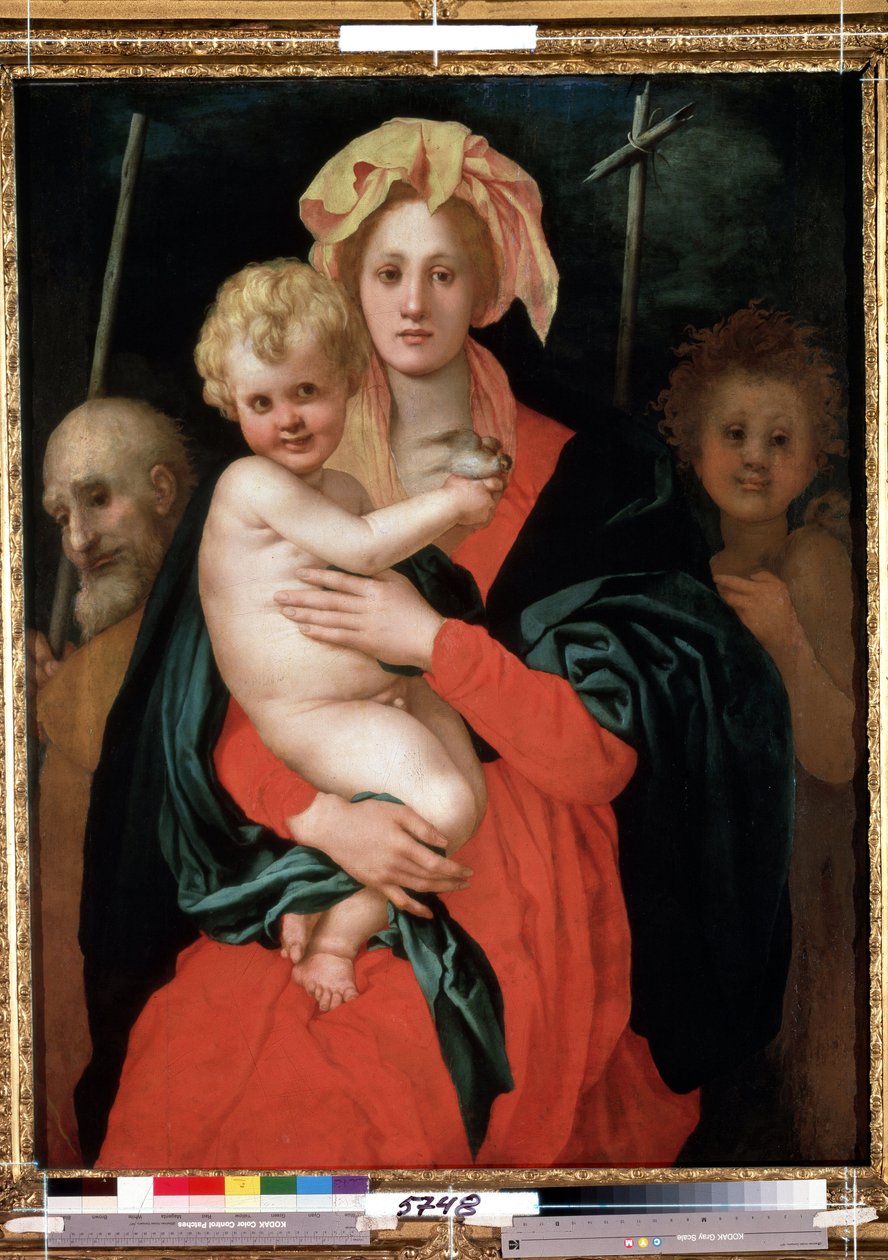 Dziewica z Dzieciątkiem ze św. Józefem i św. Janem Chrzcicielem (Madonna z Dzieciątkiem ze św. Józefem i Janem Chrzcicielem). Chrystus trzyma w ręku ptaka. Obraz Jacopo (Iacopo) Carrucci dit il Pontormo (Pontorme) (1494-1557), około 1520 r. Flora sztuki autorstwa Jacopo Pontormo