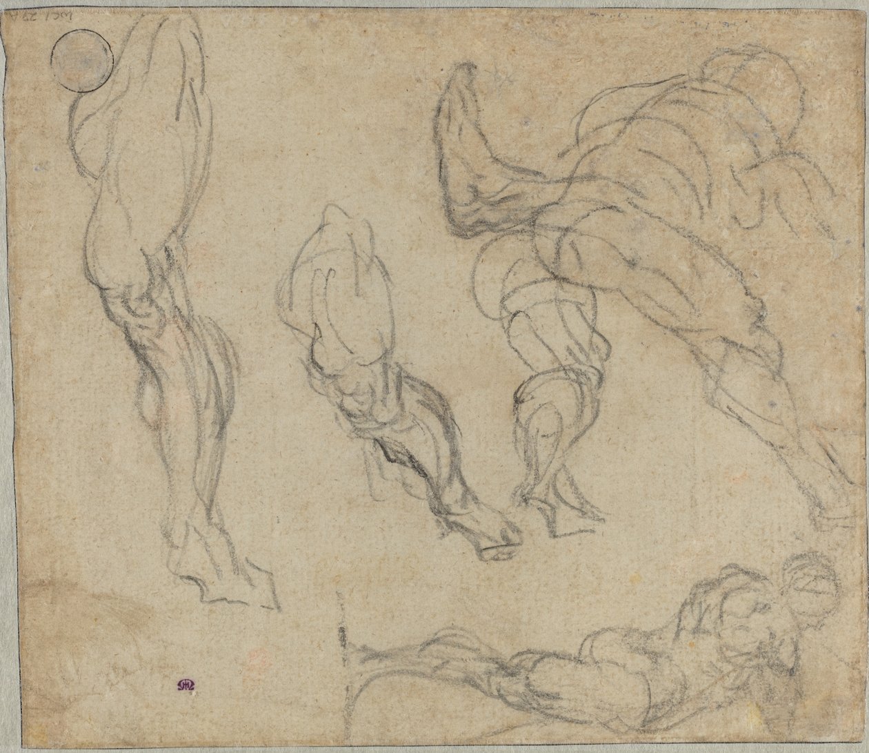 Figury i Nogi, 1575-80 (czarna kreda na papierze wykładanym) autorstwa Jacopo Robusti Tintoretto