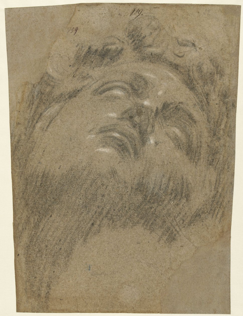 Giuliano dei Medici wg Michała Anioła, ok. 1550 (kreda na papierze) autorstwa Jacopo Robusti Tintoretto