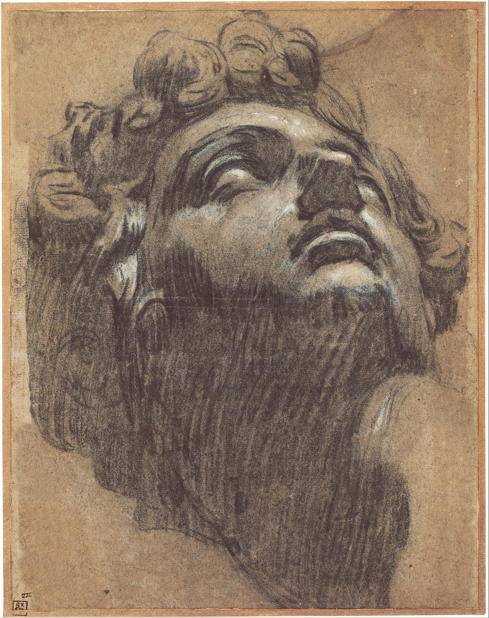 Głowa Giuliano de Medici 14791516, 1540s autorstwa Jacopo Robusti Tintoretto