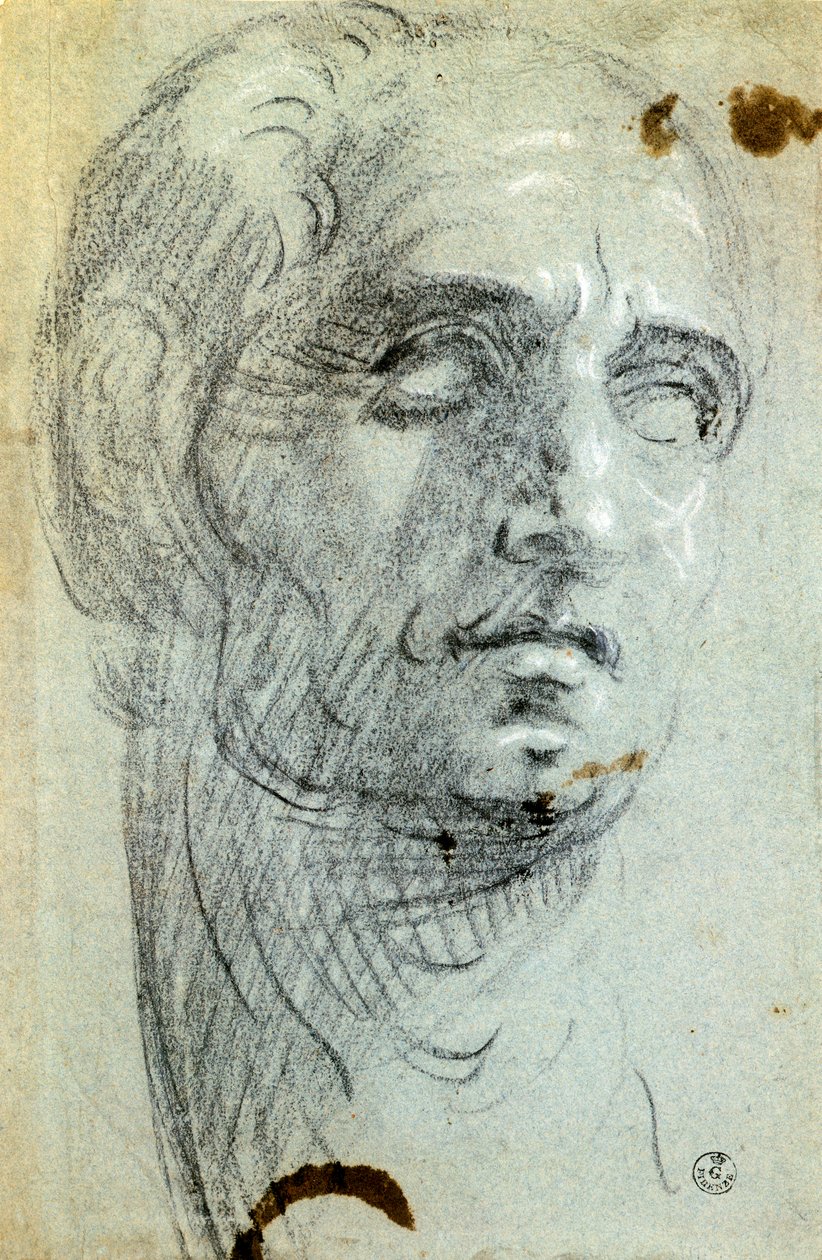Męska głowa autorstwa Jacopo Robustiego znanego jako Tintoretto (1518-1594), rysunek autorstwa Jacopo Robusti Tintoretto