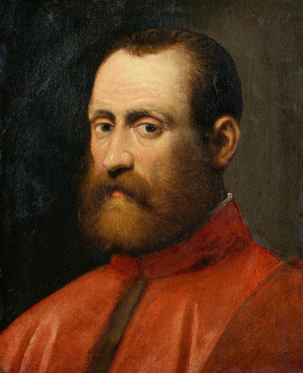Portret prokuratora (olej na płótnie) autorstwa Jacopo Robusti Tintoretto