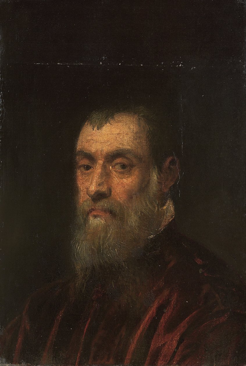 Portret brodatego mężczyzny, do biustu, w czerwonej sukni autorstwa Jacopo Robusti Tintoretto